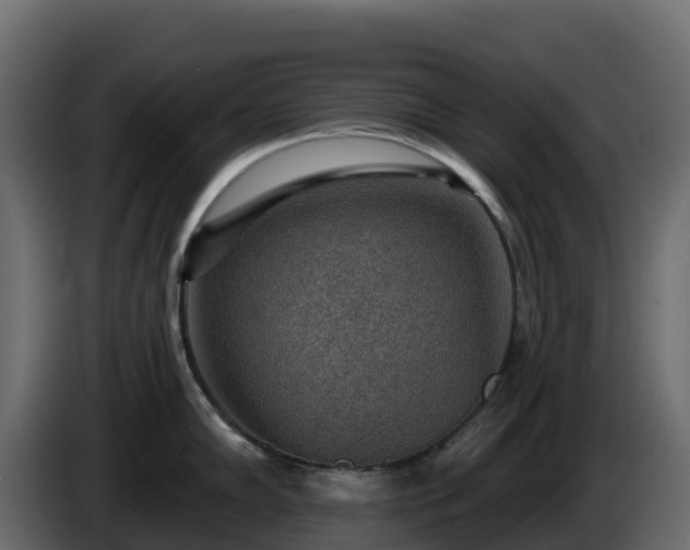 X0000085801102200703231325