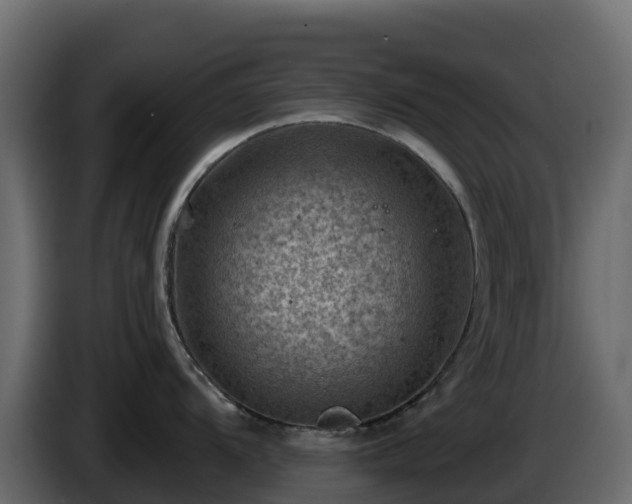 X0000085801104200703231325