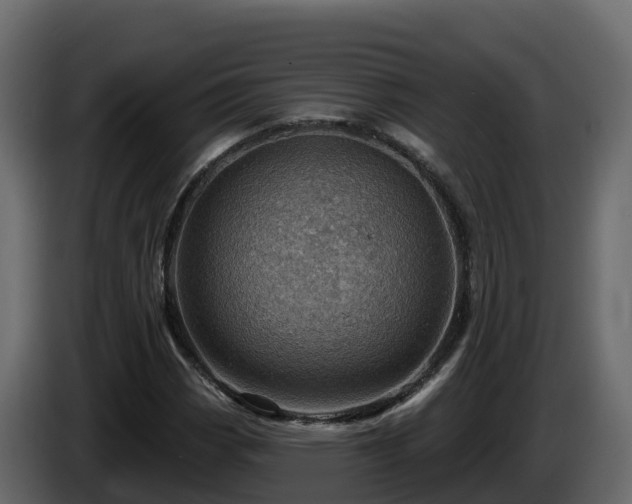 X0000085801113200703231324