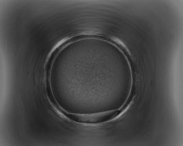 X0000085801114200703231324