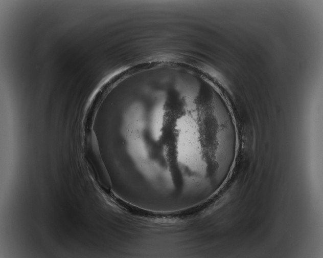 X0000085801117200703231324