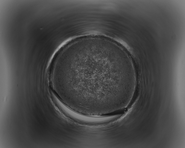 X0000085801118200703231324
