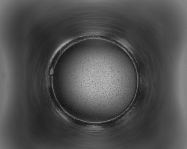 X0000085801119200703231324
