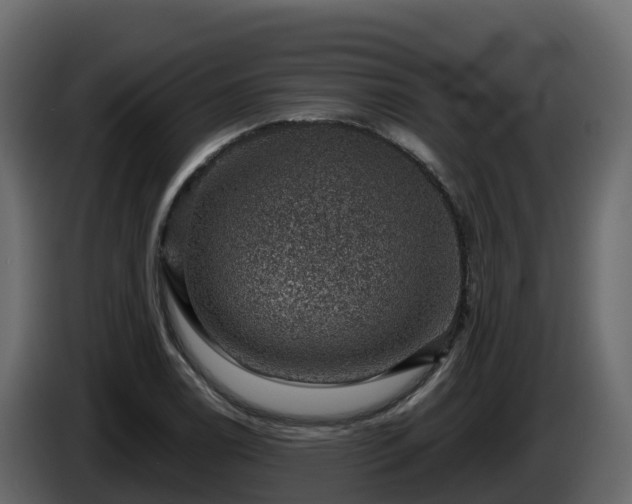 X0000085801122200703231324