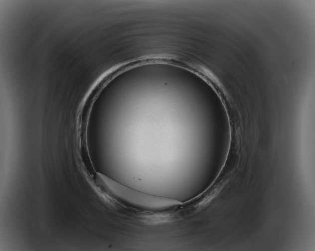 X0000085801124200703231324