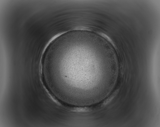 X0000085801125200703231324
