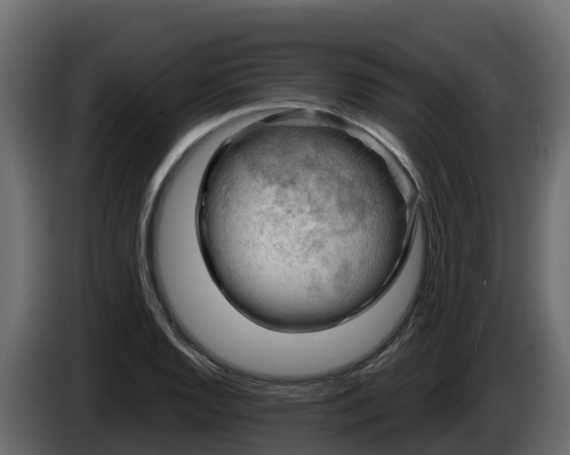 X0000085801128200703231324