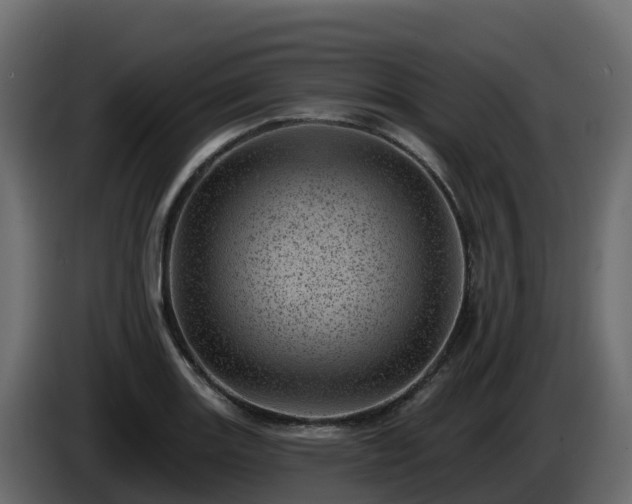 X0000085801131200703231324