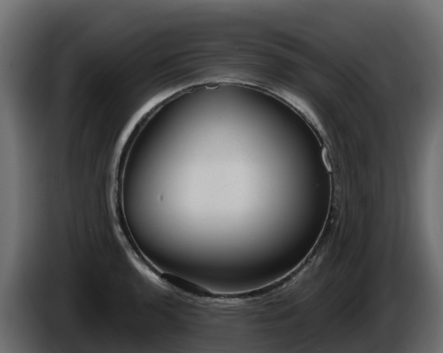 X0000085801136200703231324