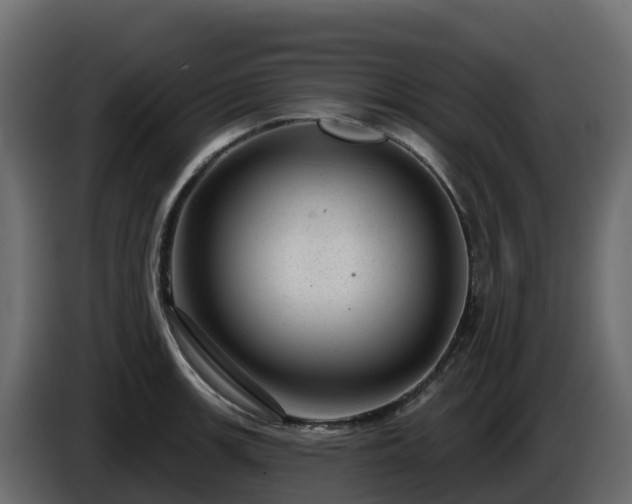 X0000085801139200703231324