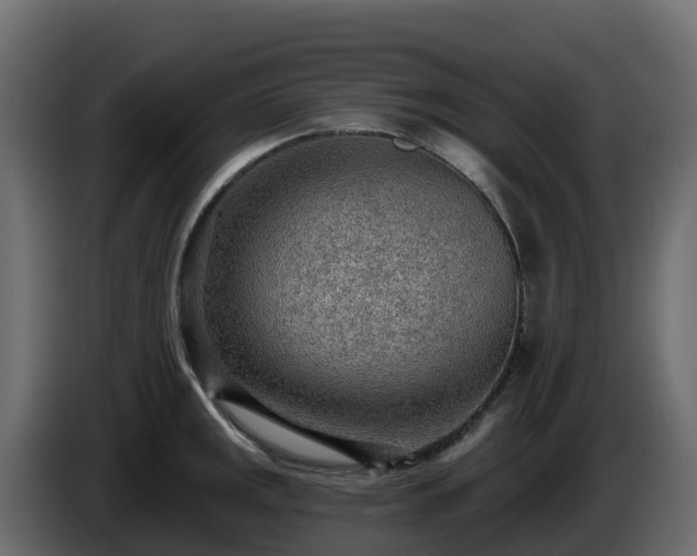 X0000085801141200703231324