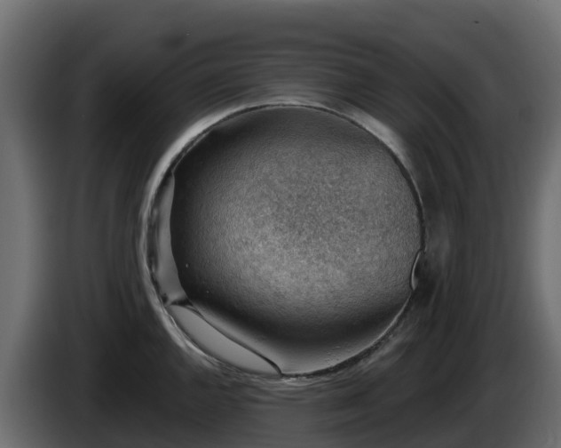 X0000085801144200703231324