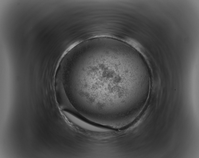 X0000085801145200703231324