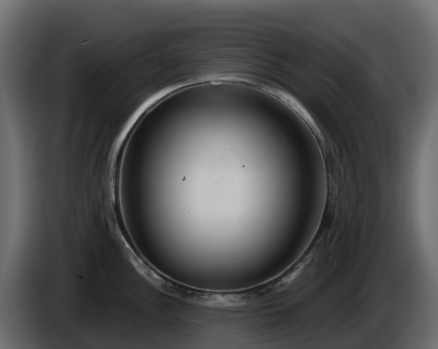X0000085801148200703231324