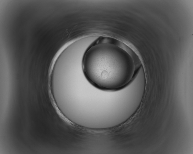X0000085801152200703231325