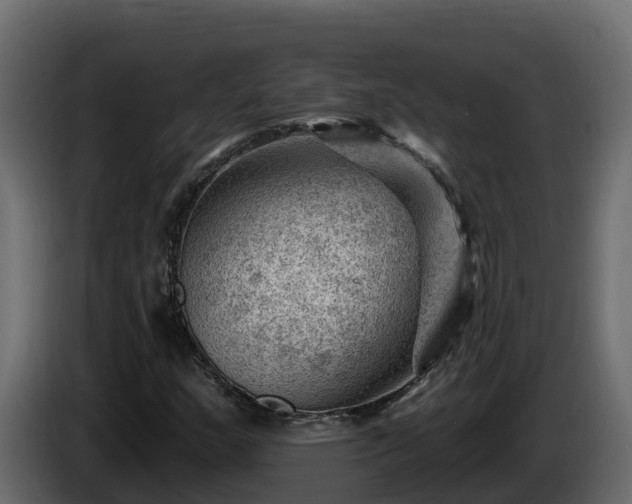 X0000085801159200703231324
