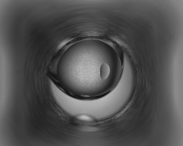 X0000085801161200703231324