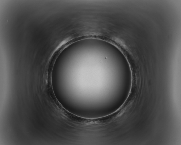 X0000085801165200703231324