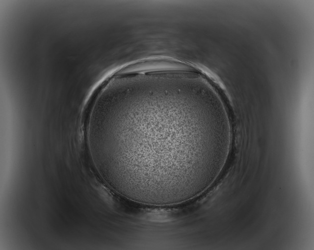 X0000085801167200703231324