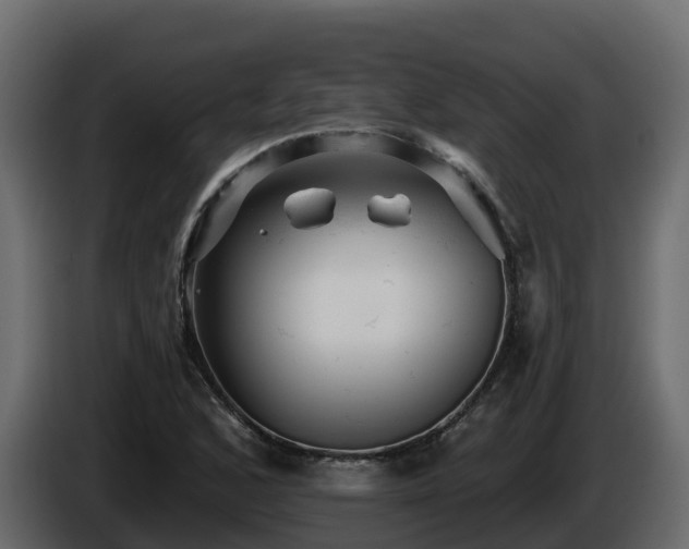 X0000085801168200703231324