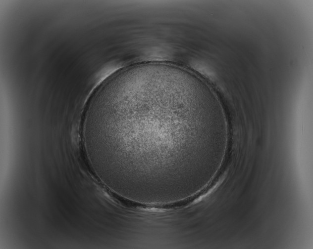 X0000085801170200703231324
