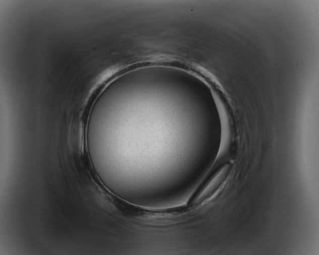 X0000085801171200703231324