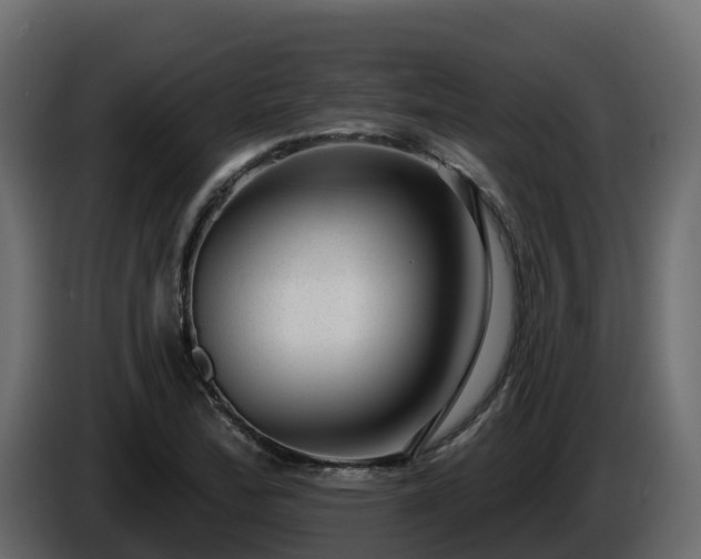 X0000085801172200703231324
