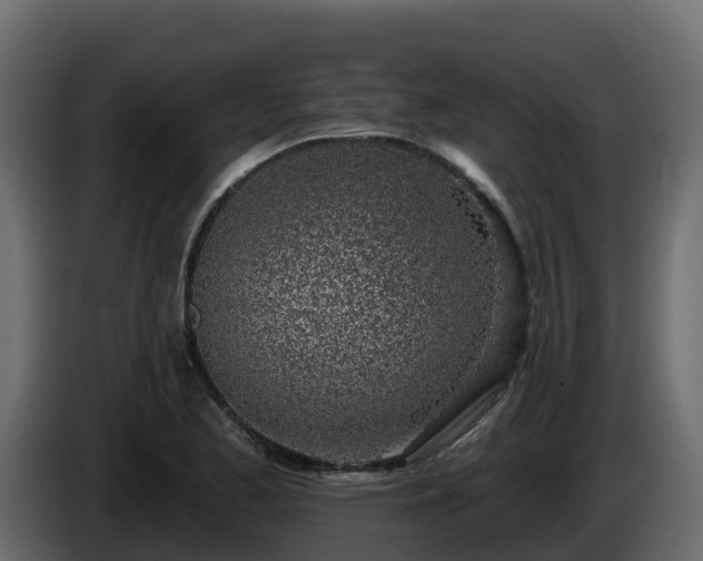 X0000085801173200703231324