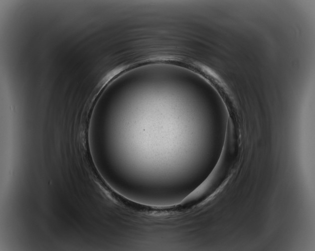 X0000085801177200703231323