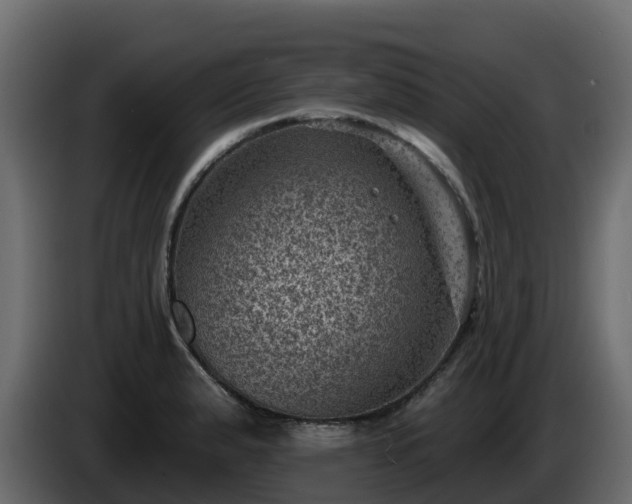 X0000085801183200703231323
