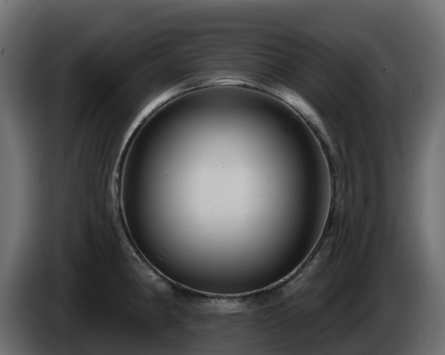 X0000085801190200703231323
