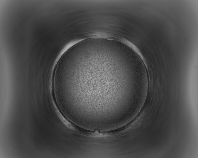 X0000085801195200703231323