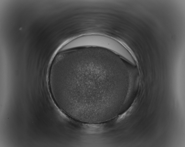 X0000085801197200703231323