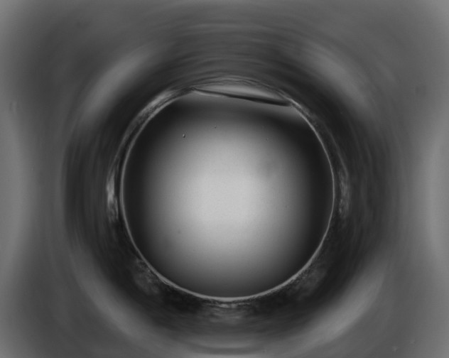 X0000085801198200703231323