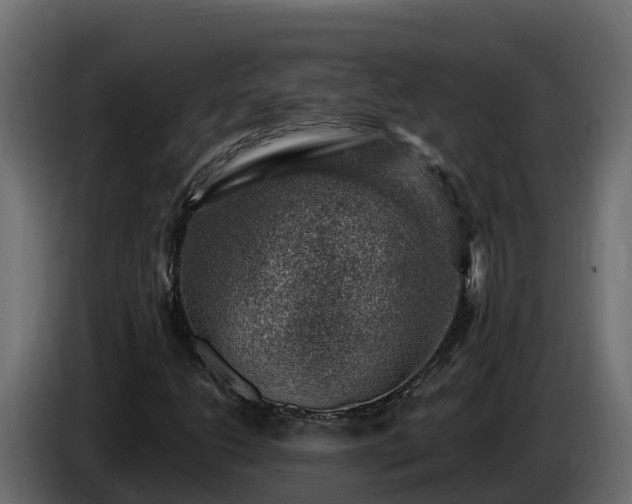X0000085801206200703231322