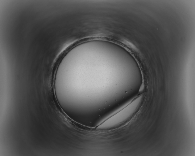X0000085801216200703231323