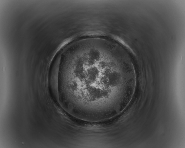 X0000085801221200703231323
