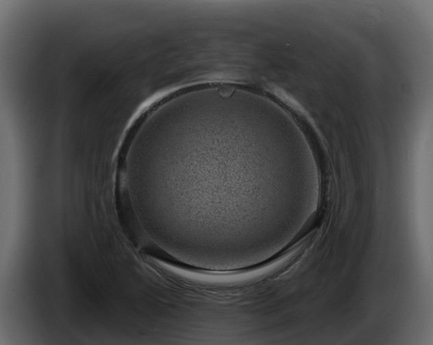 X0000085801222200703231323