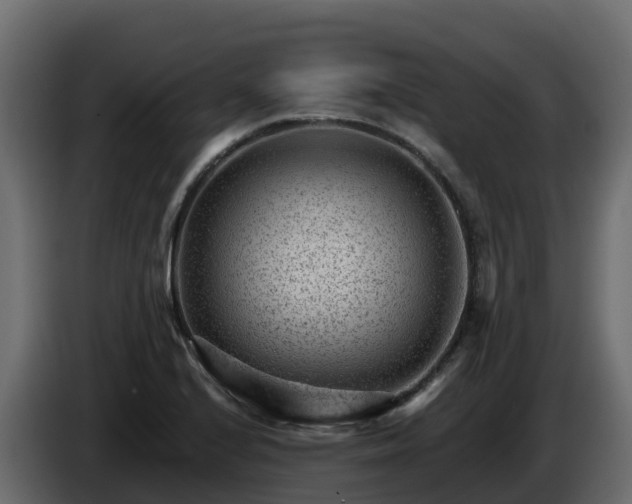 X0000085801224200703231323