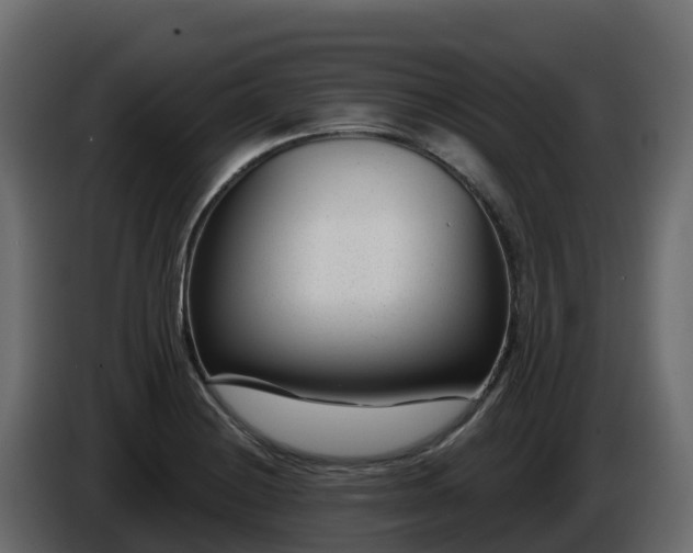 X0000085801228200703231323