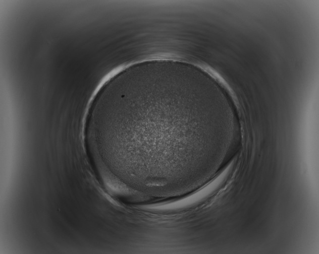 X0000085801230200703231323