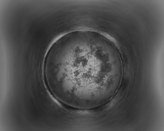 X0000085801231200703231323
