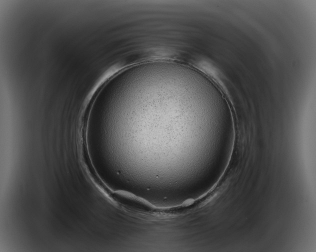 X0000085801235200703231323