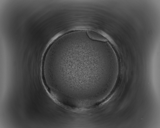 X0000085801237200703231323