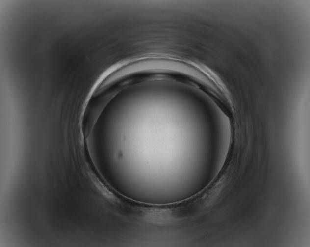 X0000085801238200703231323