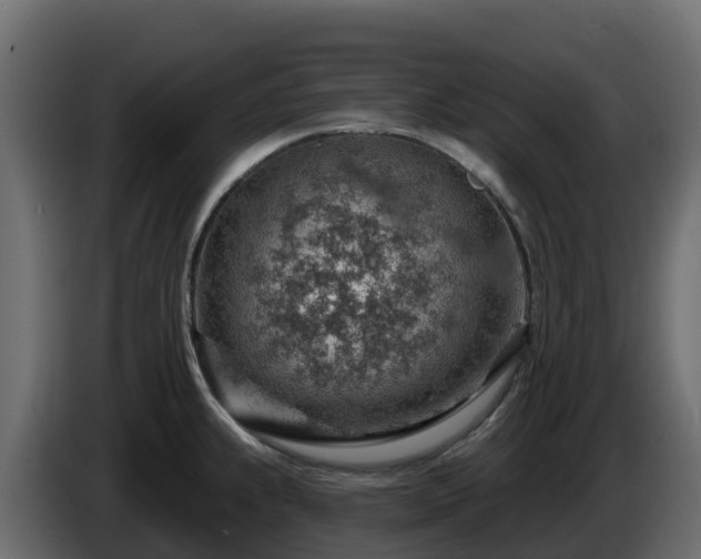 X0000085801239200703231323
