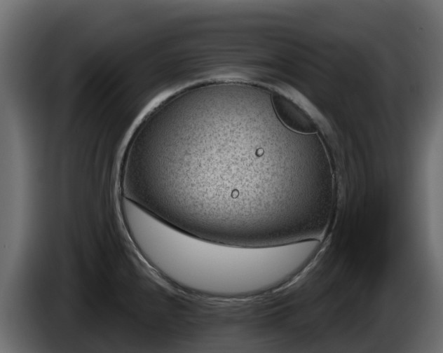 X0000085801240200703231323