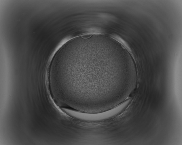 X0000085801243200703231323