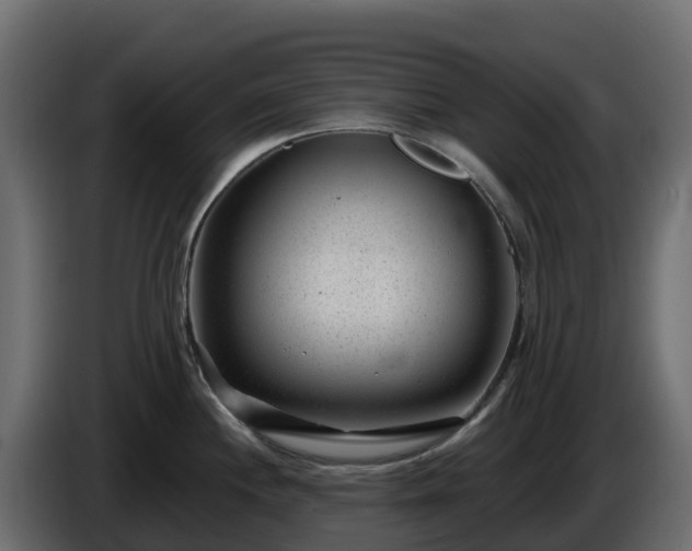 X0000085801244200703231323
