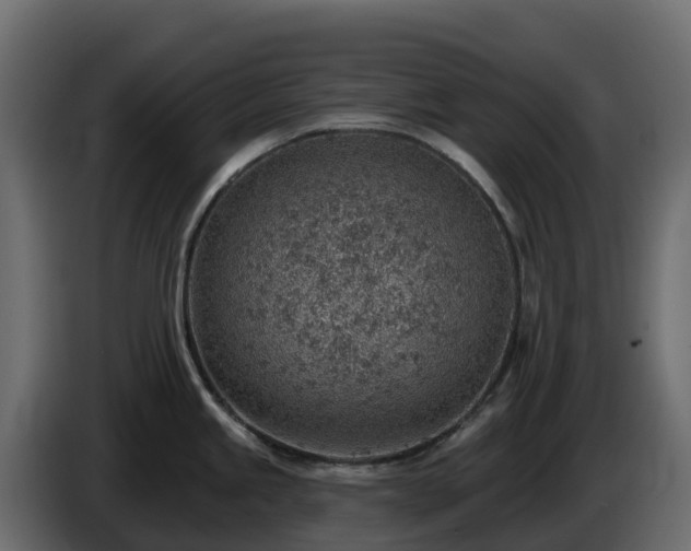 X0000085801245200703231323